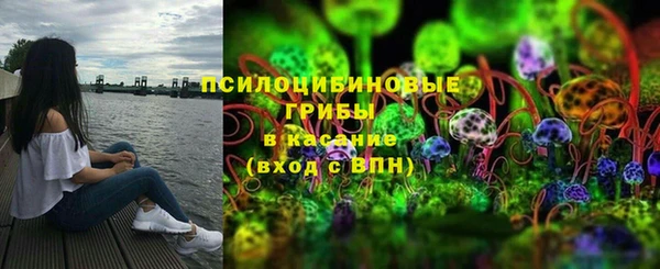 эйфоретик Алексин